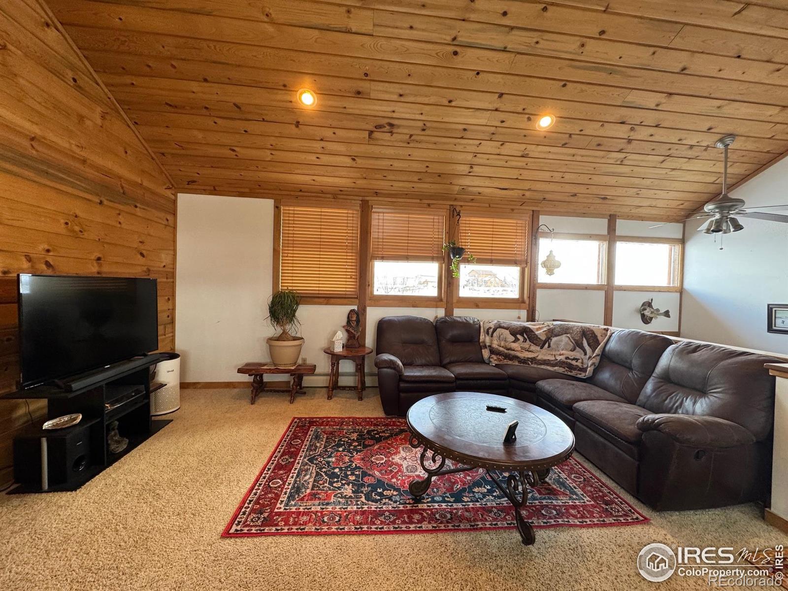 MLS Image #4 for 158  antelope drive,walden, Colorado
