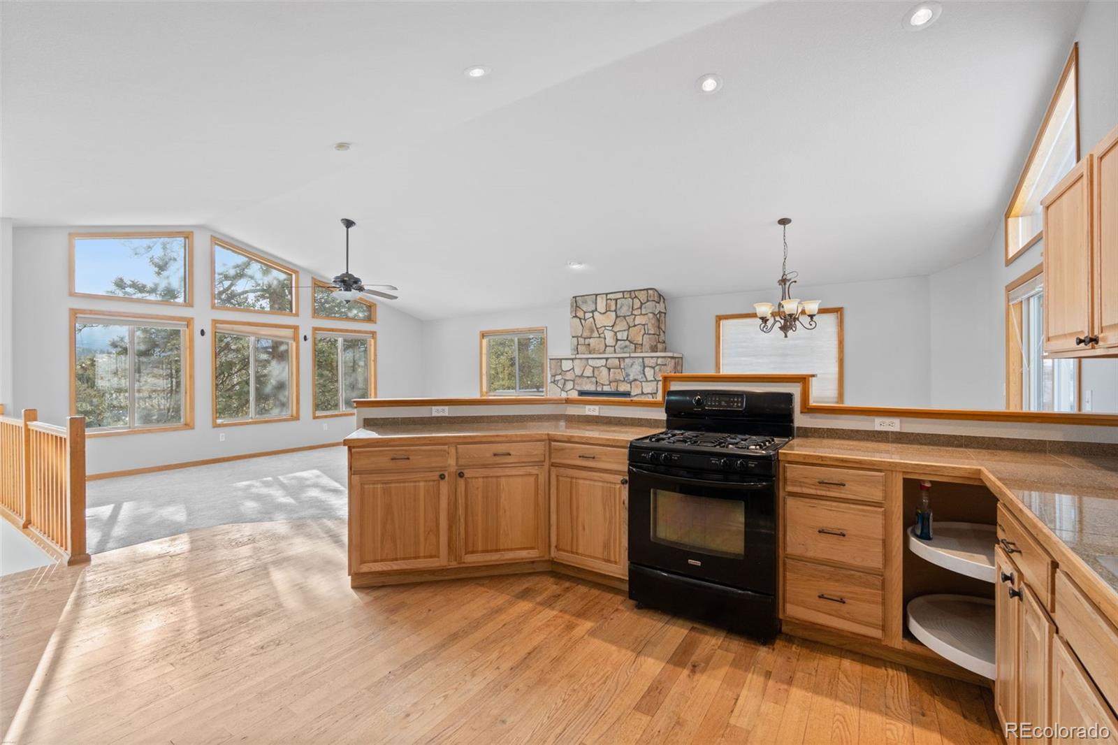 MLS Image #11 for 377  deer trail drive,bailey, Colorado