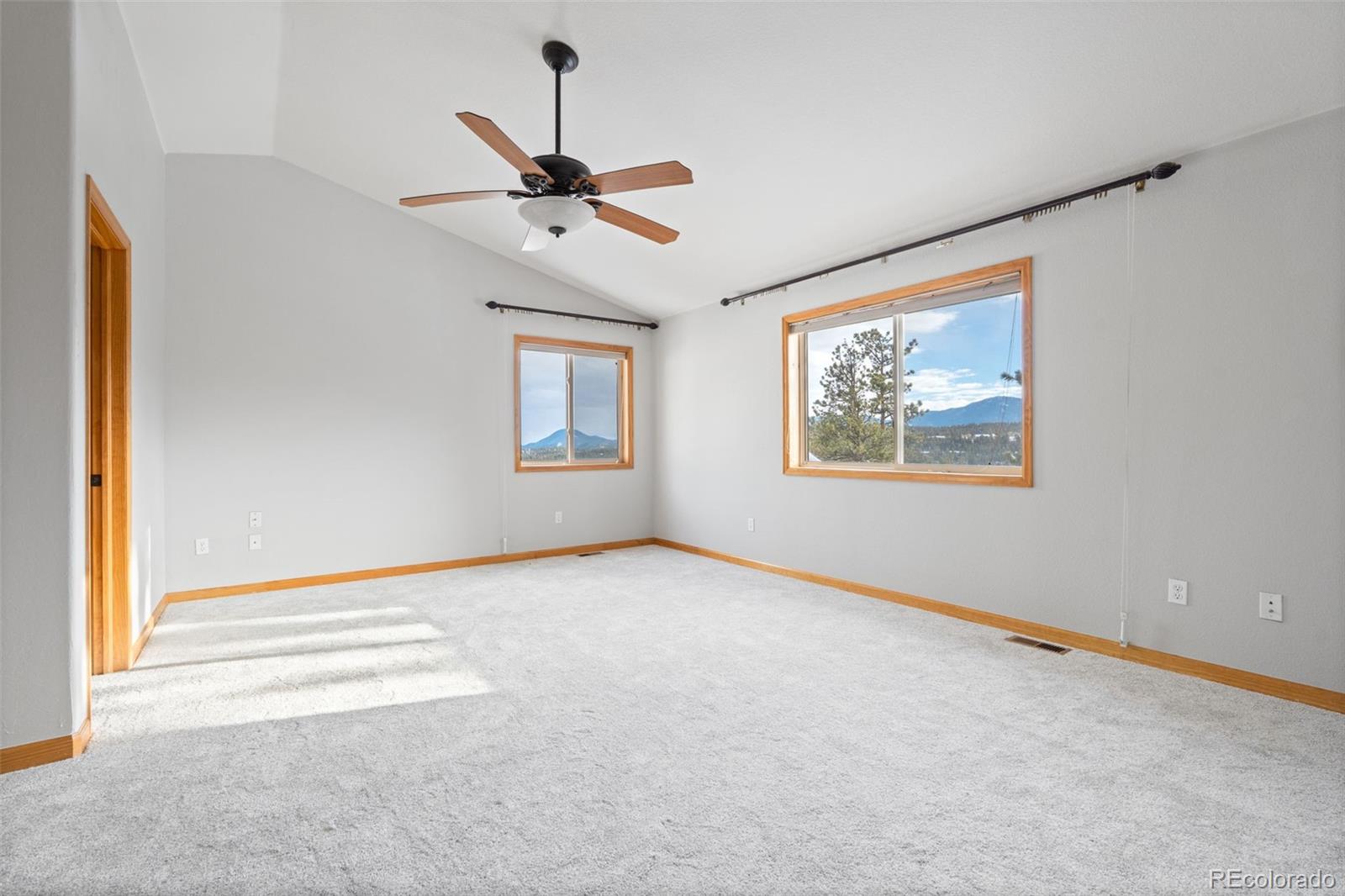 MLS Image #13 for 377  deer trail drive,bailey, Colorado
