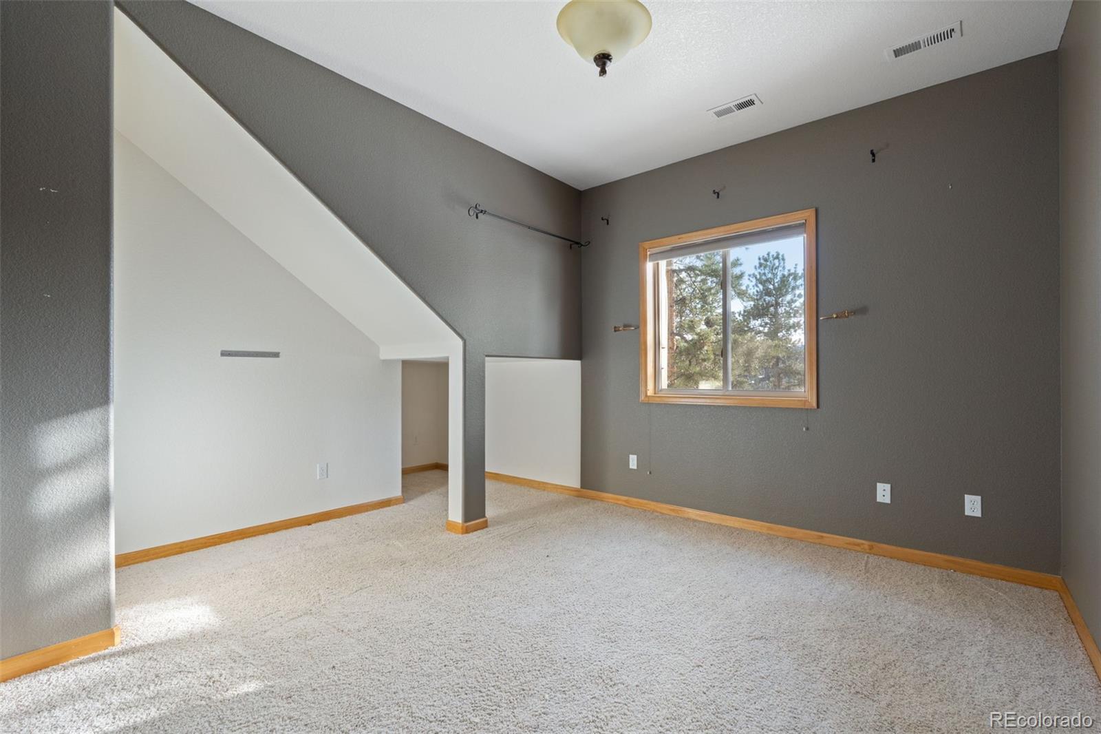 MLS Image #21 for 377  deer trail drive,bailey, Colorado