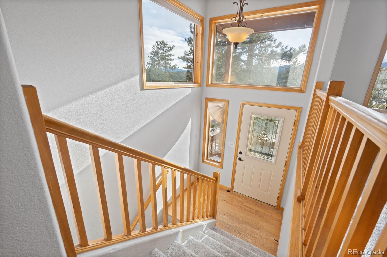 MLS Image #3 for 377  deer trail drive,bailey, Colorado