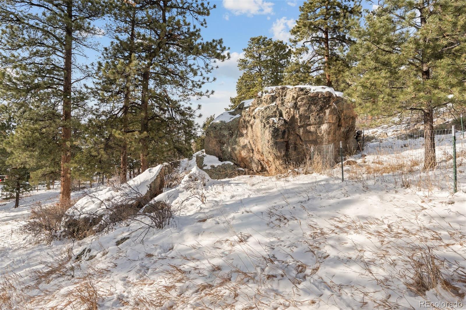 MLS Image #33 for 377  deer trail drive,bailey, Colorado