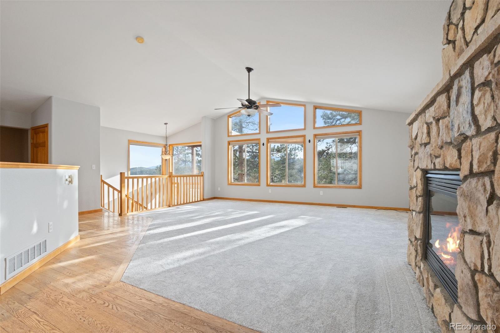 MLS Image #4 for 377  deer trail drive,bailey, Colorado