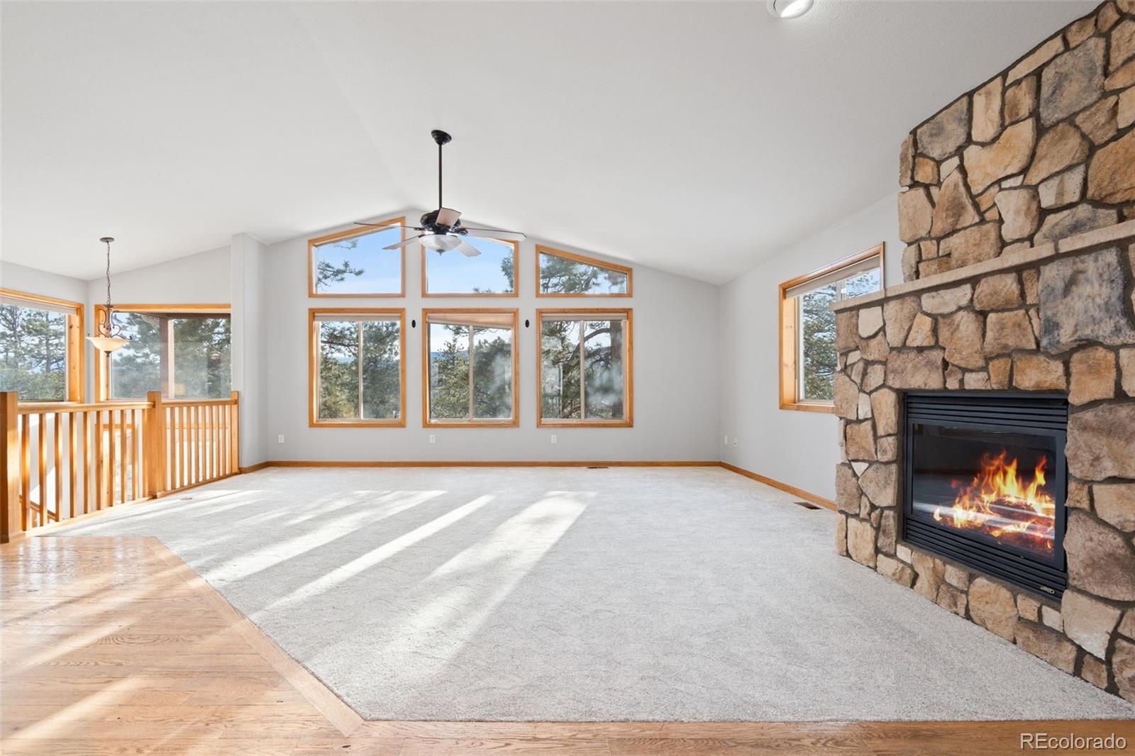 MLS Image #5 for 377  deer trail drive,bailey, Colorado
