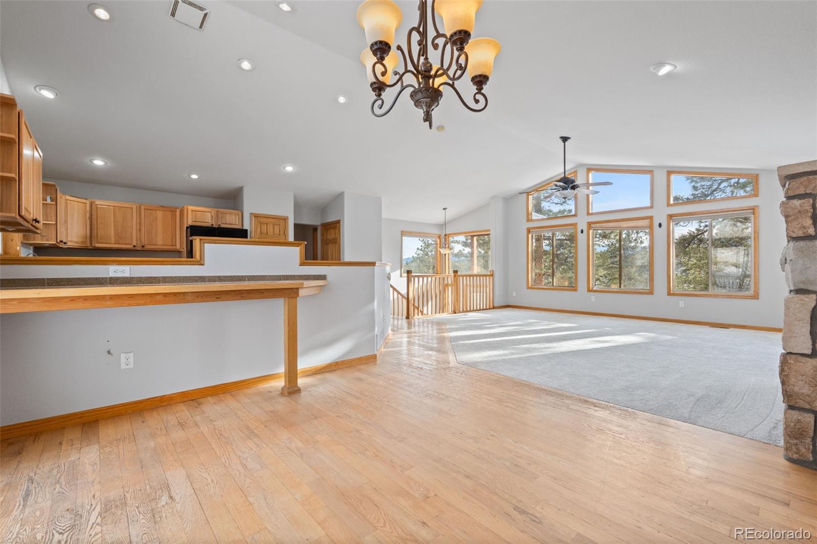 MLS Image #9 for 377  deer trail drive,bailey, Colorado