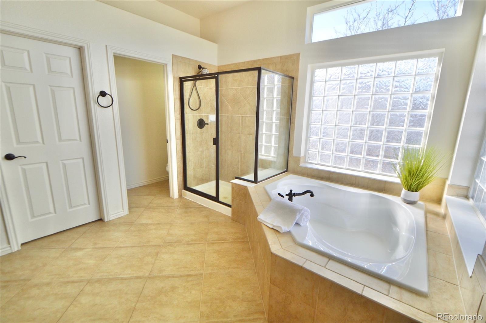 MLS Image #19 for 7304  sapphire pointe boulevard,castle rock, Colorado