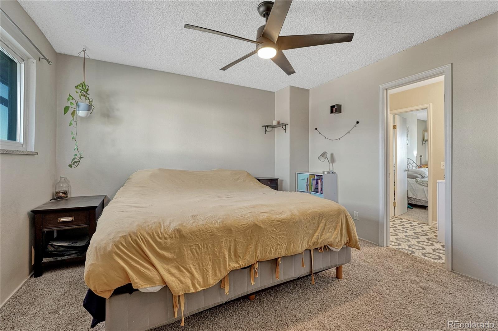 MLS Image #10 for 4587 s lowell boulevard,denver, Colorado