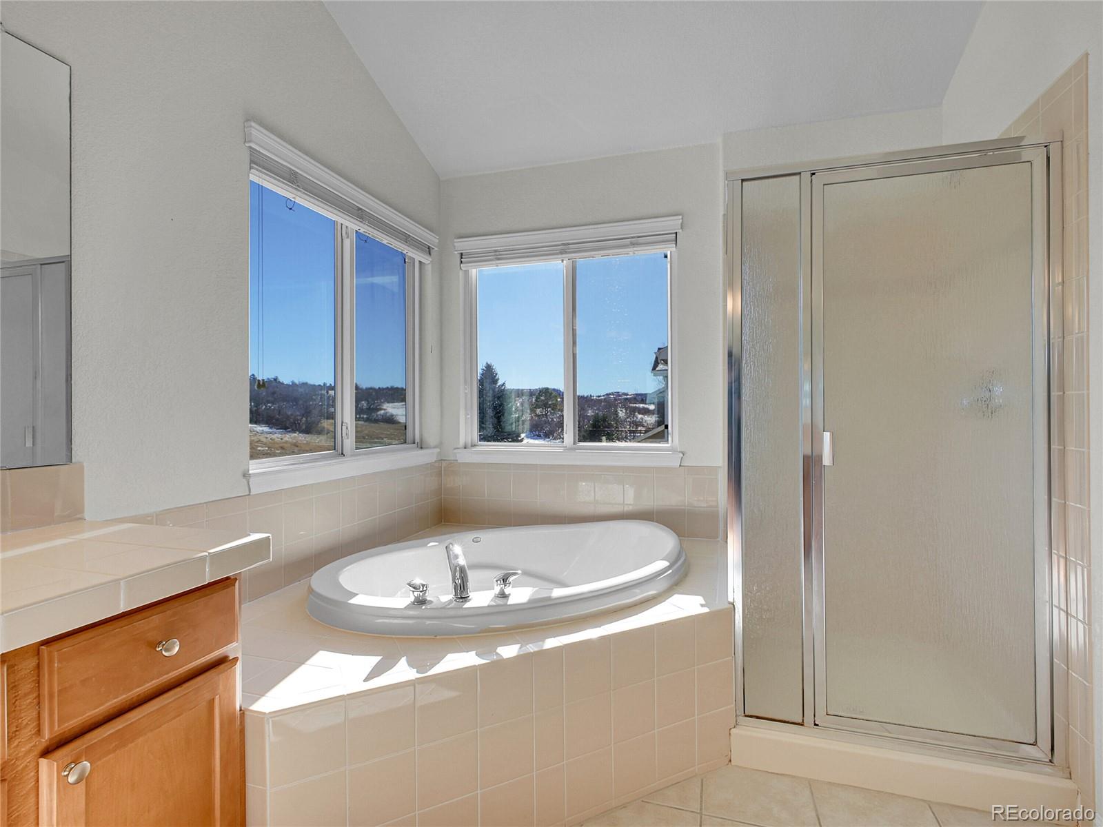 MLS Image #22 for 3368  shire circle,castle rock, Colorado