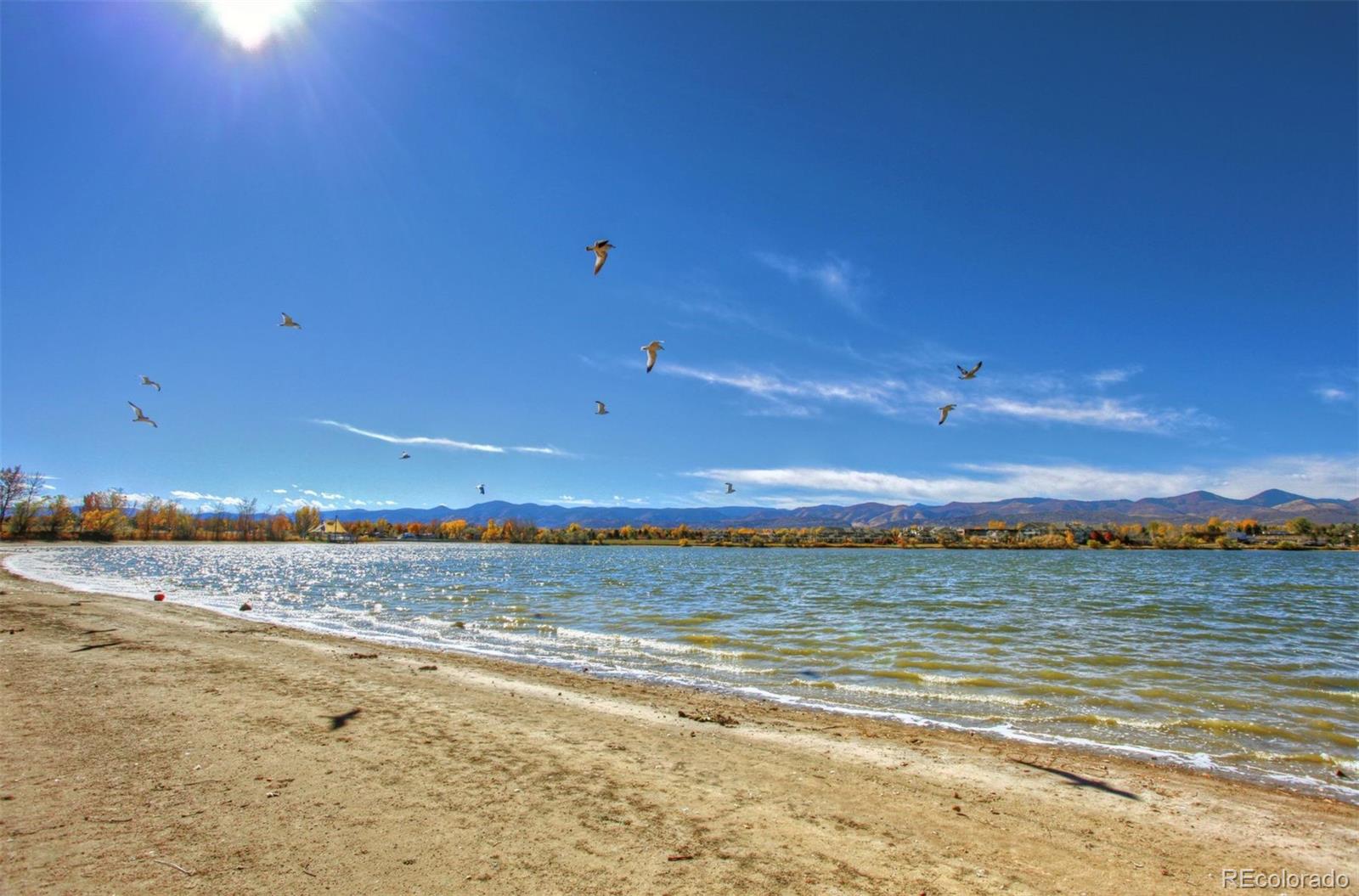 MLS Image #45 for 1  club lane,littleton, Colorado