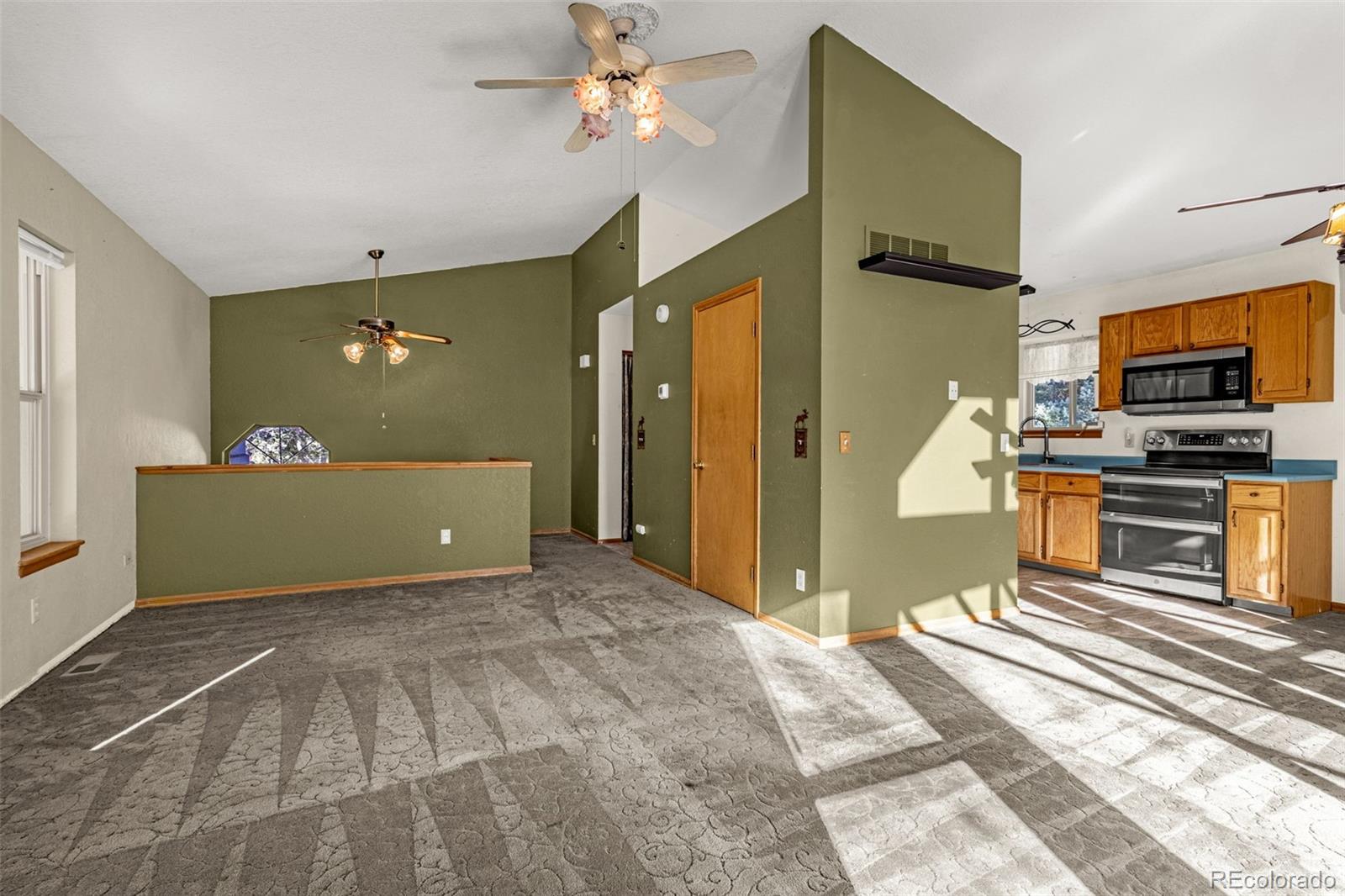 MLS Image #3 for 315 e gunnison avenue,woodland park, Colorado