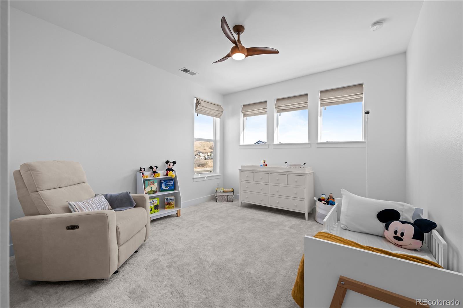 MLS Image #25 for 567  coal bank trail,castle rock, Colorado