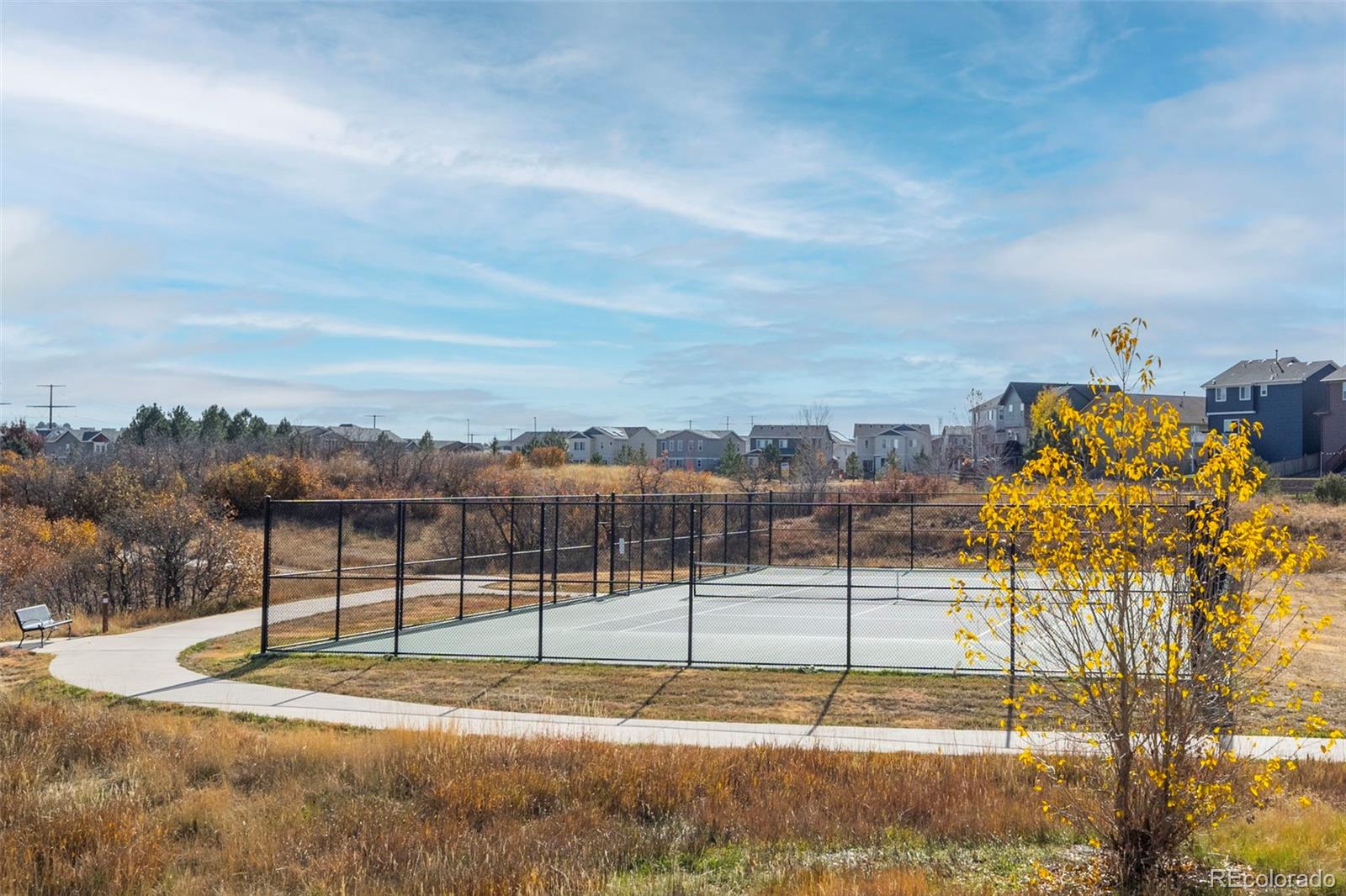 MLS Image #23 for 2932  madrona court,castle rock, Colorado