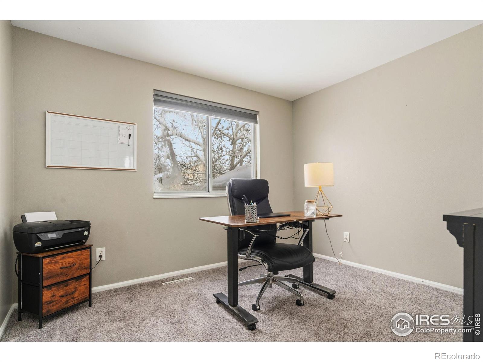 MLS Image #10 for 1143  bristlecone place,loveland, Colorado