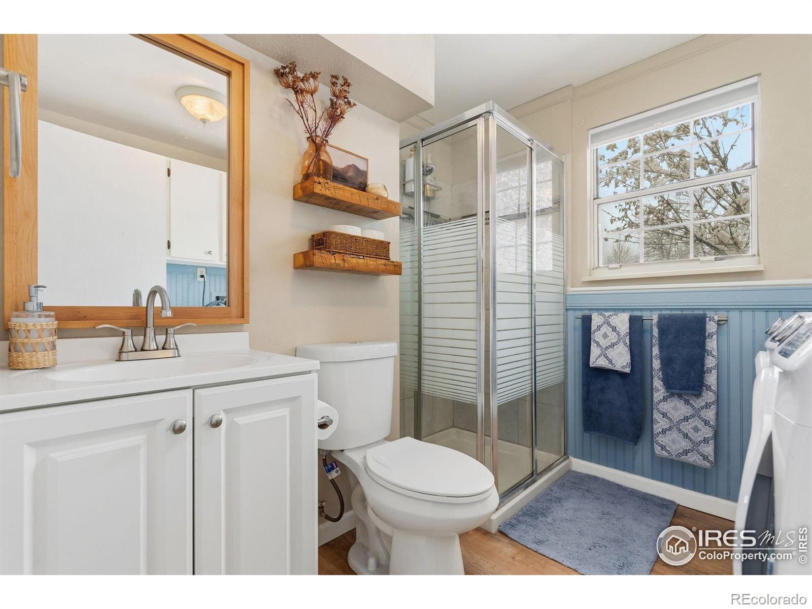 MLS Image #6 for 1143  bristlecone place,loveland, Colorado