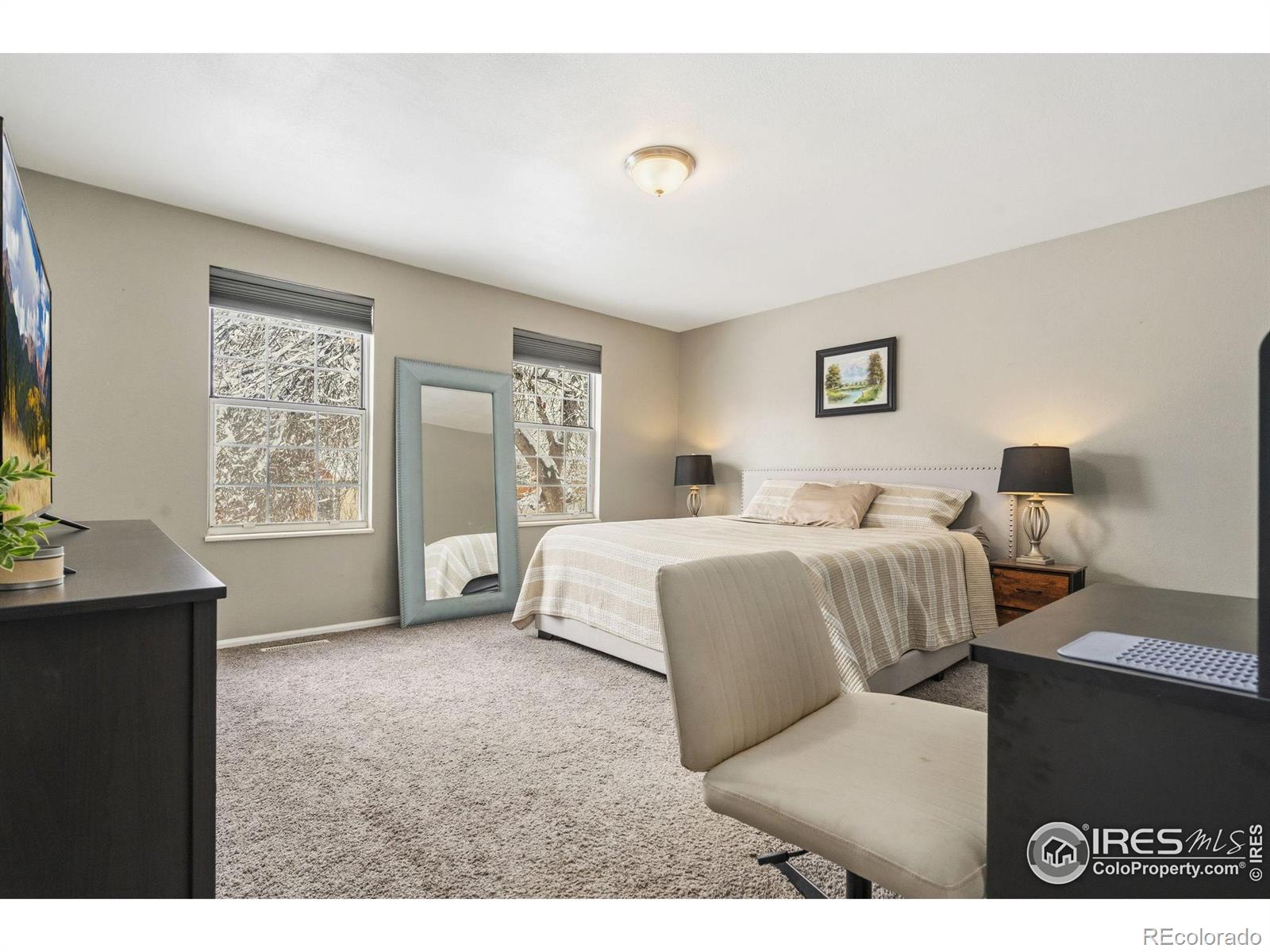 MLS Image #8 for 1143  bristlecone place,loveland, Colorado
