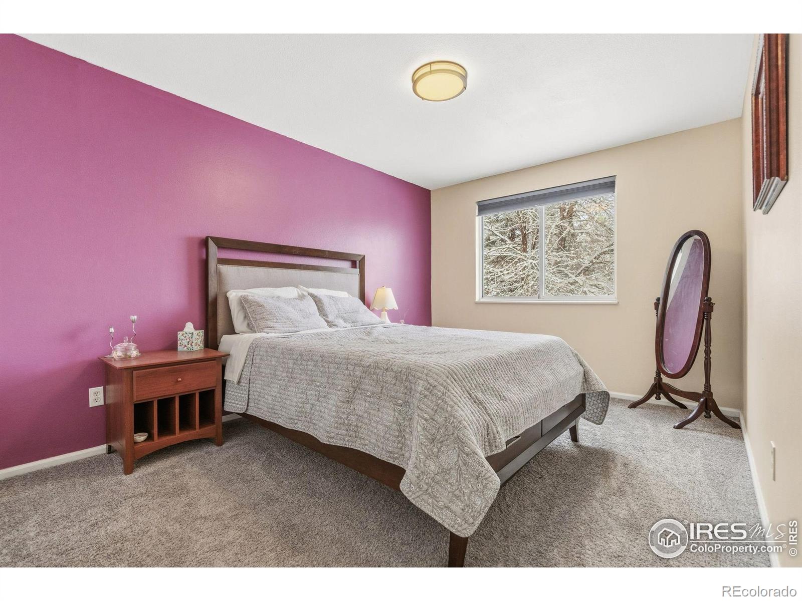 MLS Image #9 for 1143  bristlecone place,loveland, Colorado