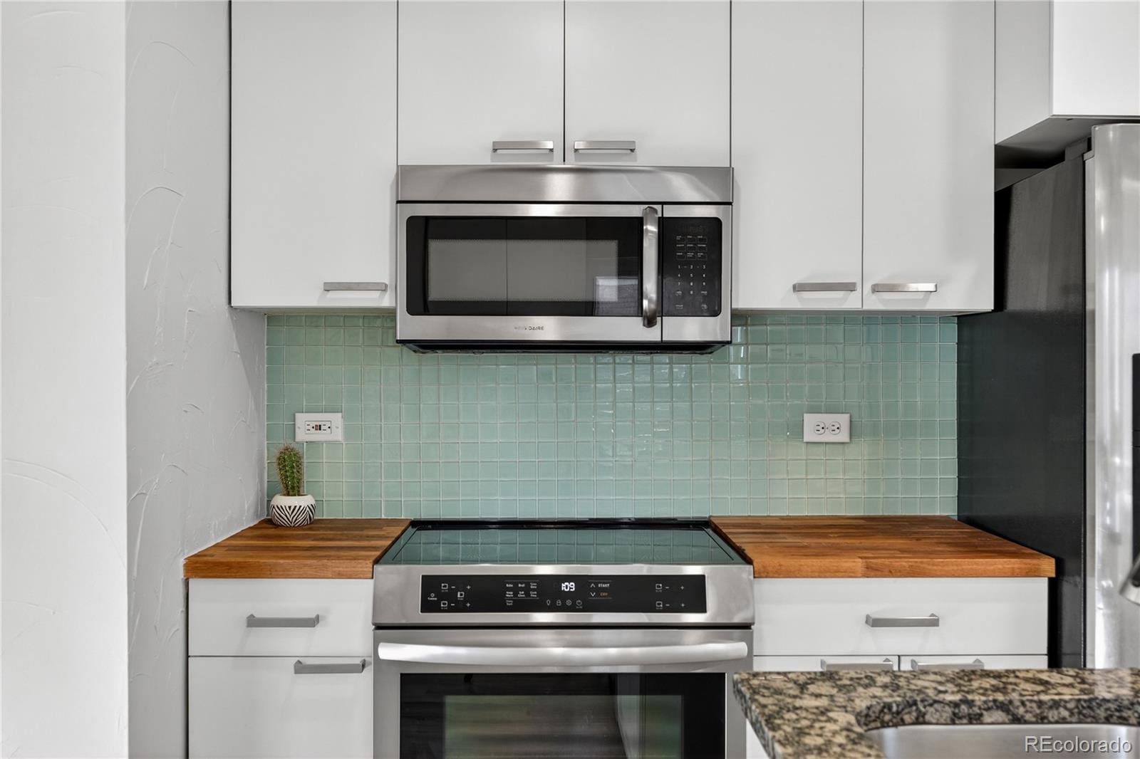 MLS Image #10 for 2965  ivy street,denver, Colorado