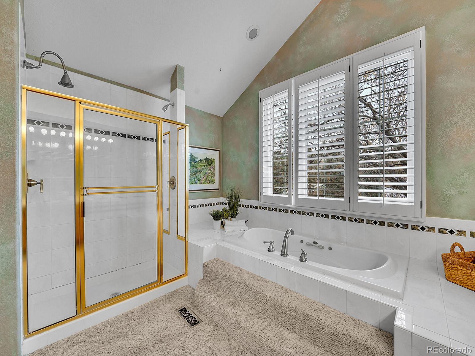 MLS Image #17 for 1115  kistler court,highlands ranch, Colorado