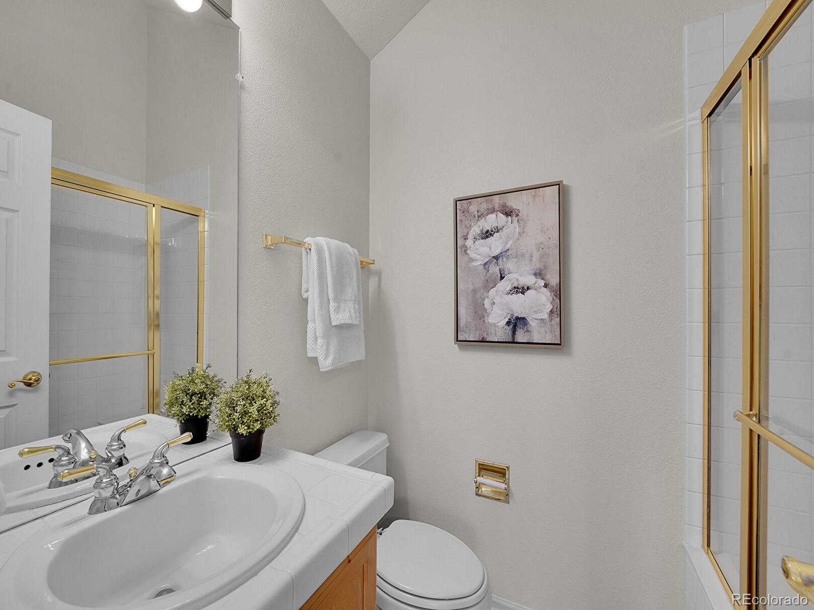 MLS Image #19 for 1115  kistler court,highlands ranch, Colorado