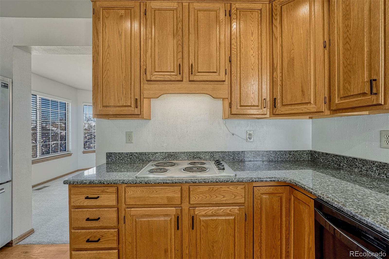 MLS Image #26 for 4420  gloucester court,colorado springs, Colorado