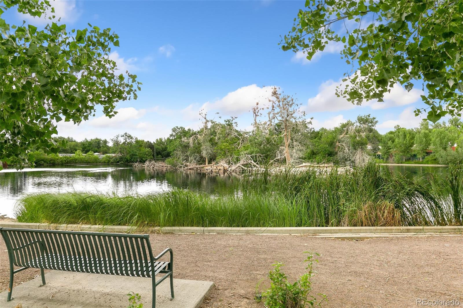 MLS Image #39 for 1827 n bellaire street,denver, Colorado
