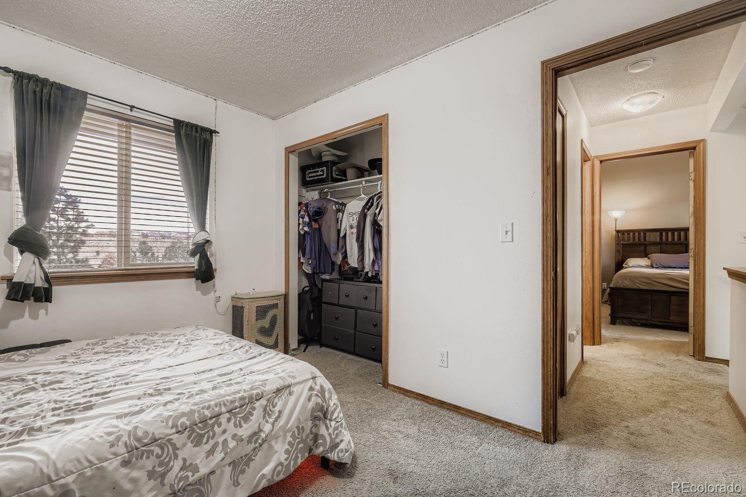 MLS Image #15 for 8370  steadman drive,colorado springs, Colorado