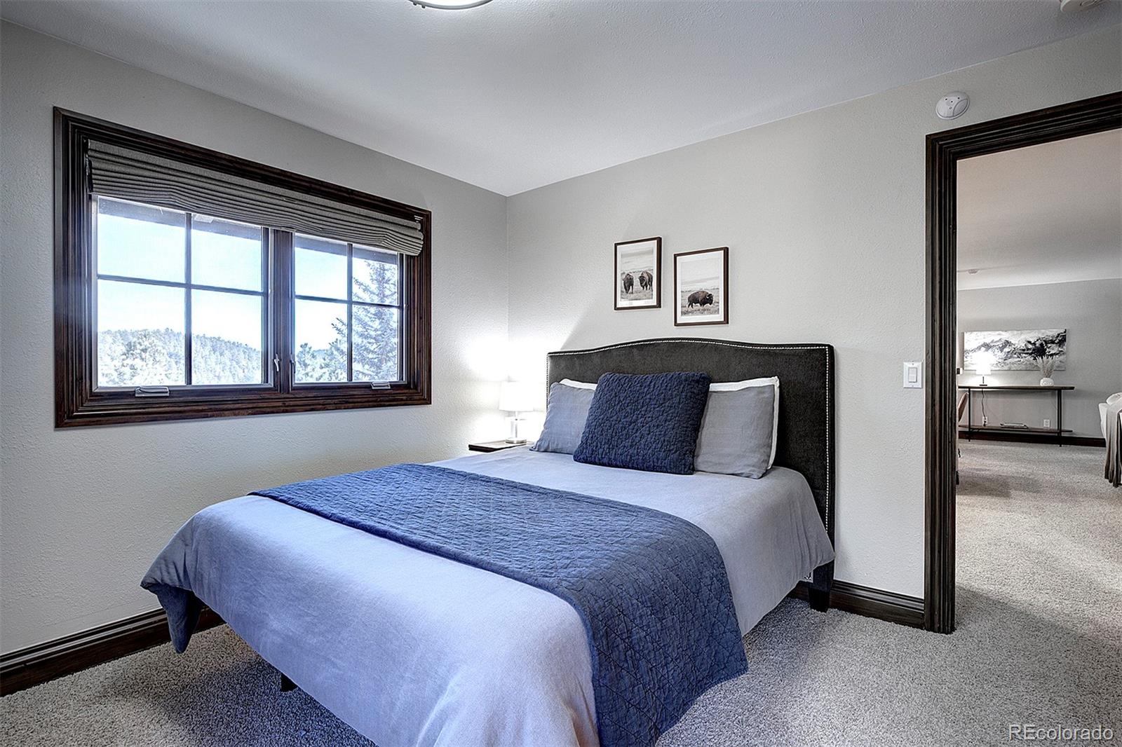 MLS Image #47 for 497  meadow vista drive,evergreen, Colorado
