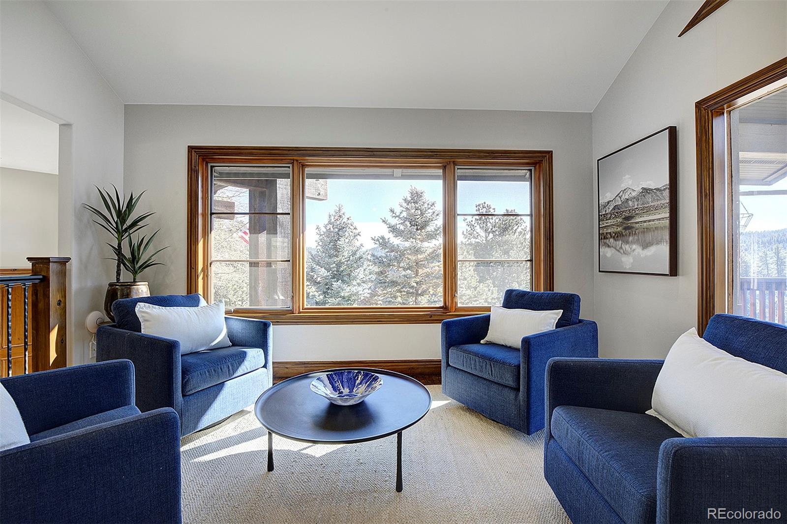 MLS Image #9 for 497  meadow vista drive,evergreen, Colorado