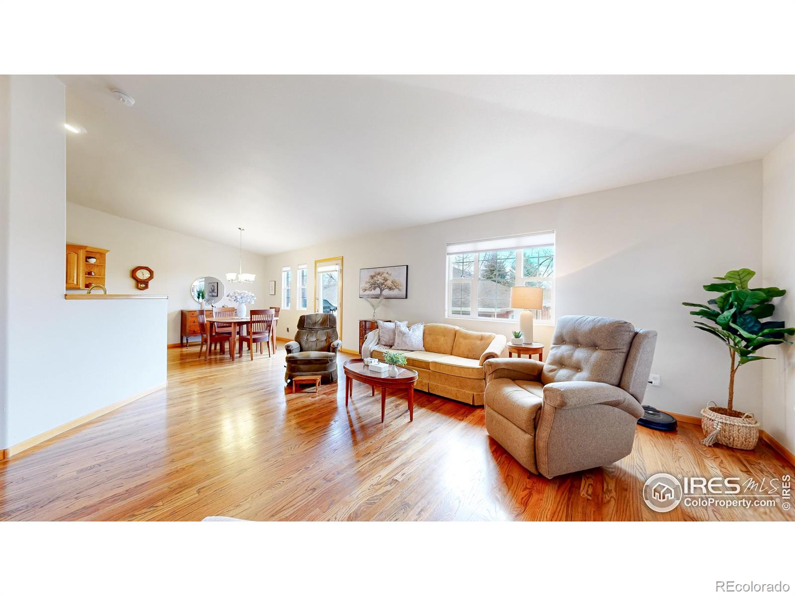 MLS Image #4 for 274  shupe circle,loveland, Colorado