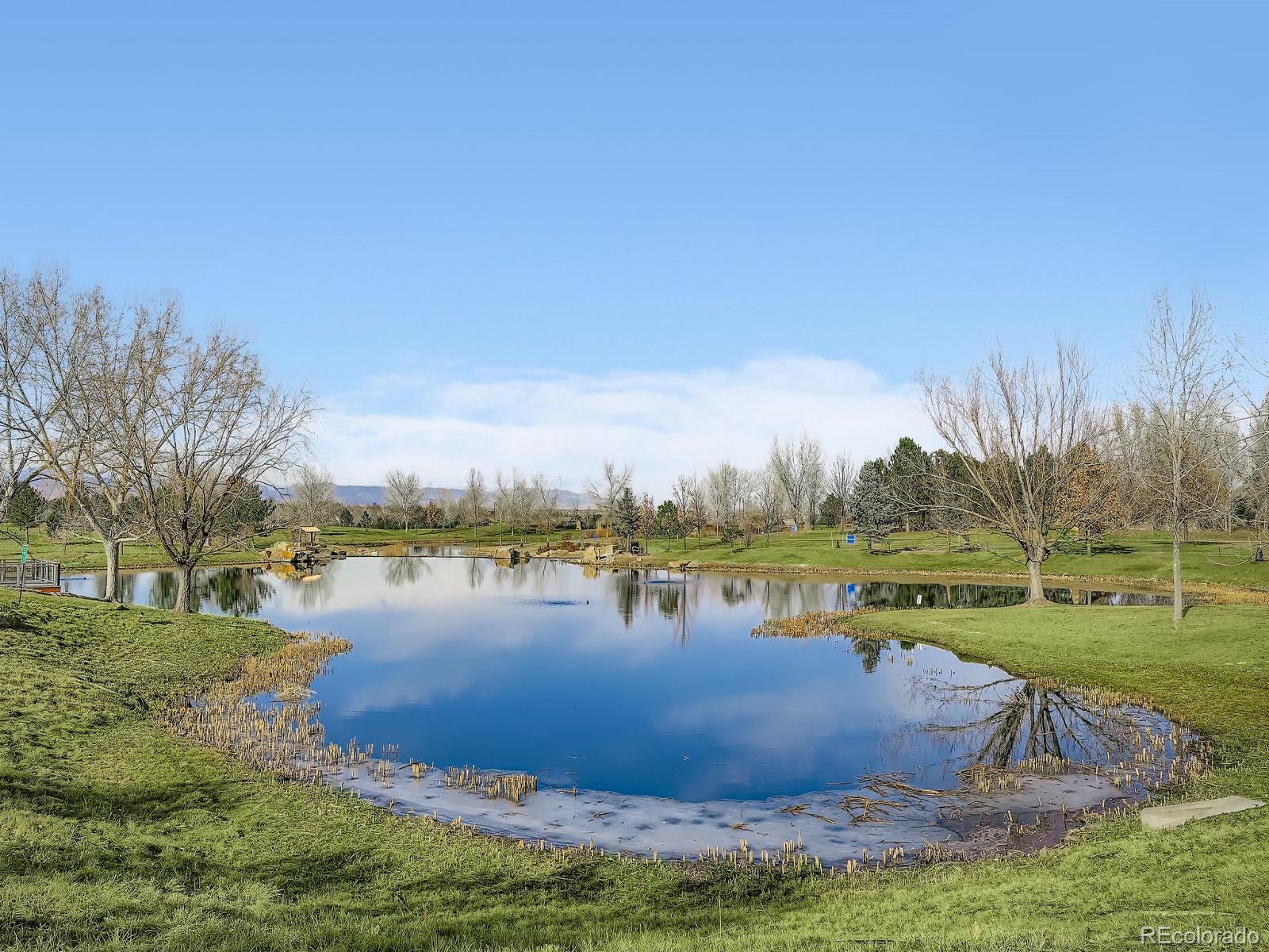 MLS Image #19 for 4620  white rock drive,broomfield, Colorado