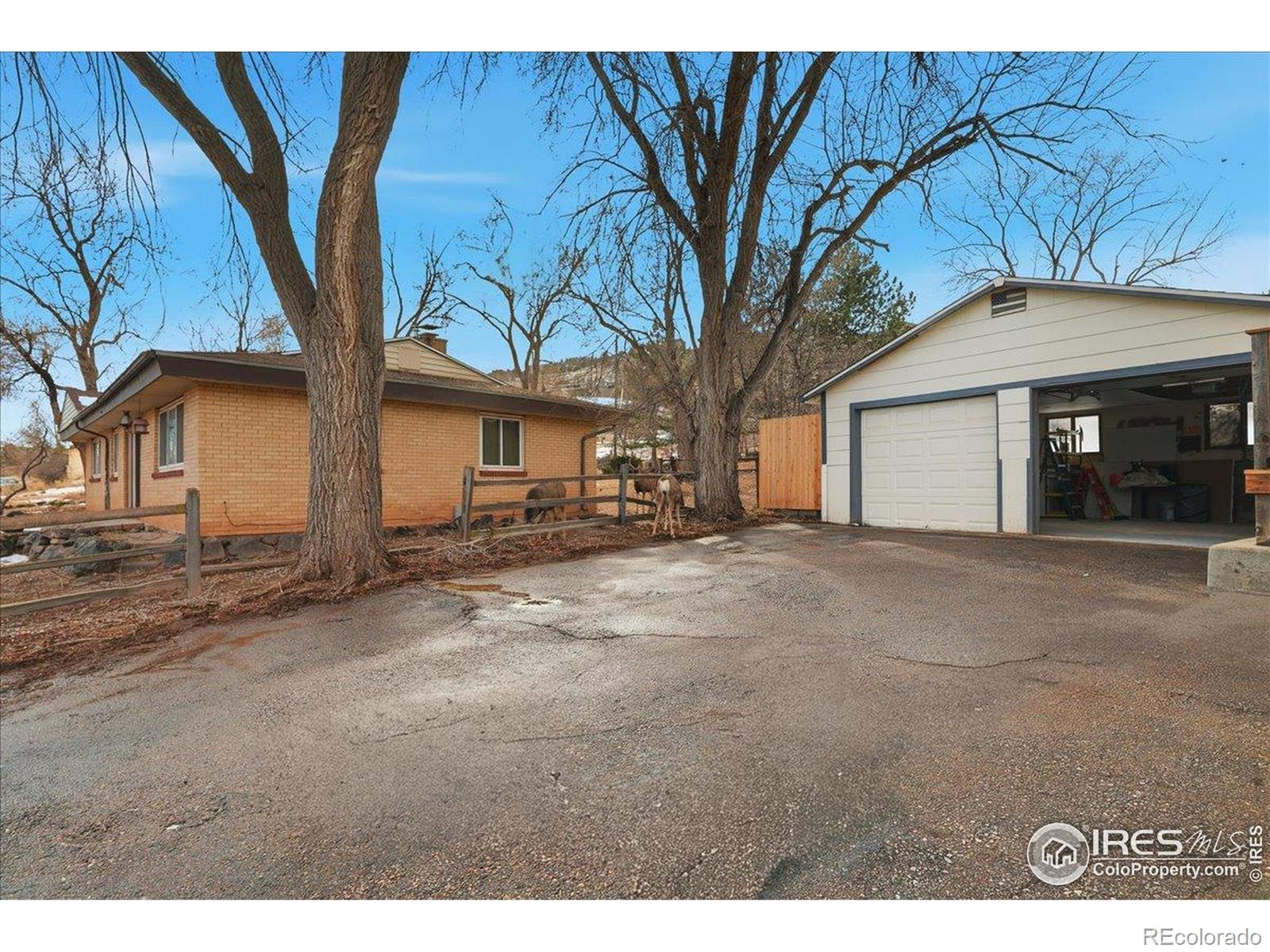 MLS Image #39 for 4817  catalina drive,fort collins, Colorado