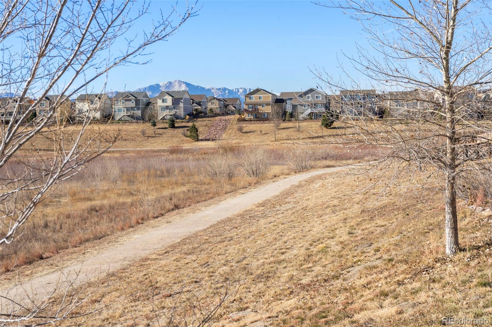 MLS Image #31 for 6571  mineral belt drive,colorado springs, Colorado