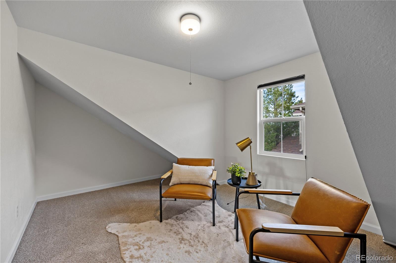 MLS Image #32 for 3954  blue pine circle,highlands ranch, Colorado