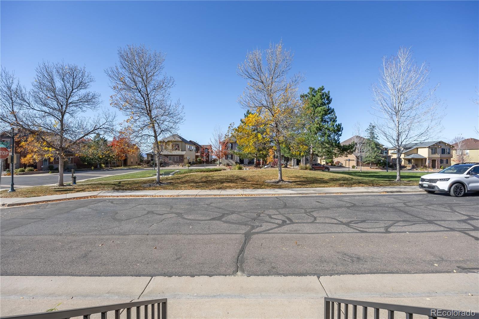 MLS Image #6 for 3954  blue pine circle,highlands ranch, Colorado