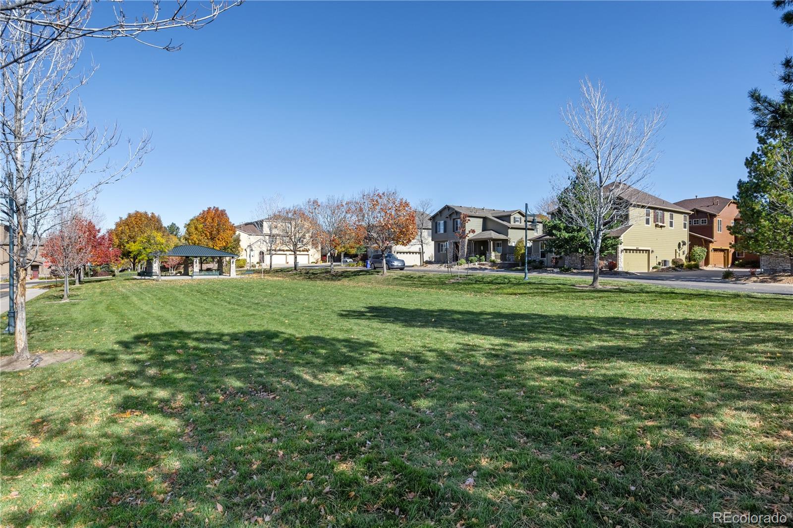 MLS Image #8 for 3954  blue pine circle,highlands ranch, Colorado