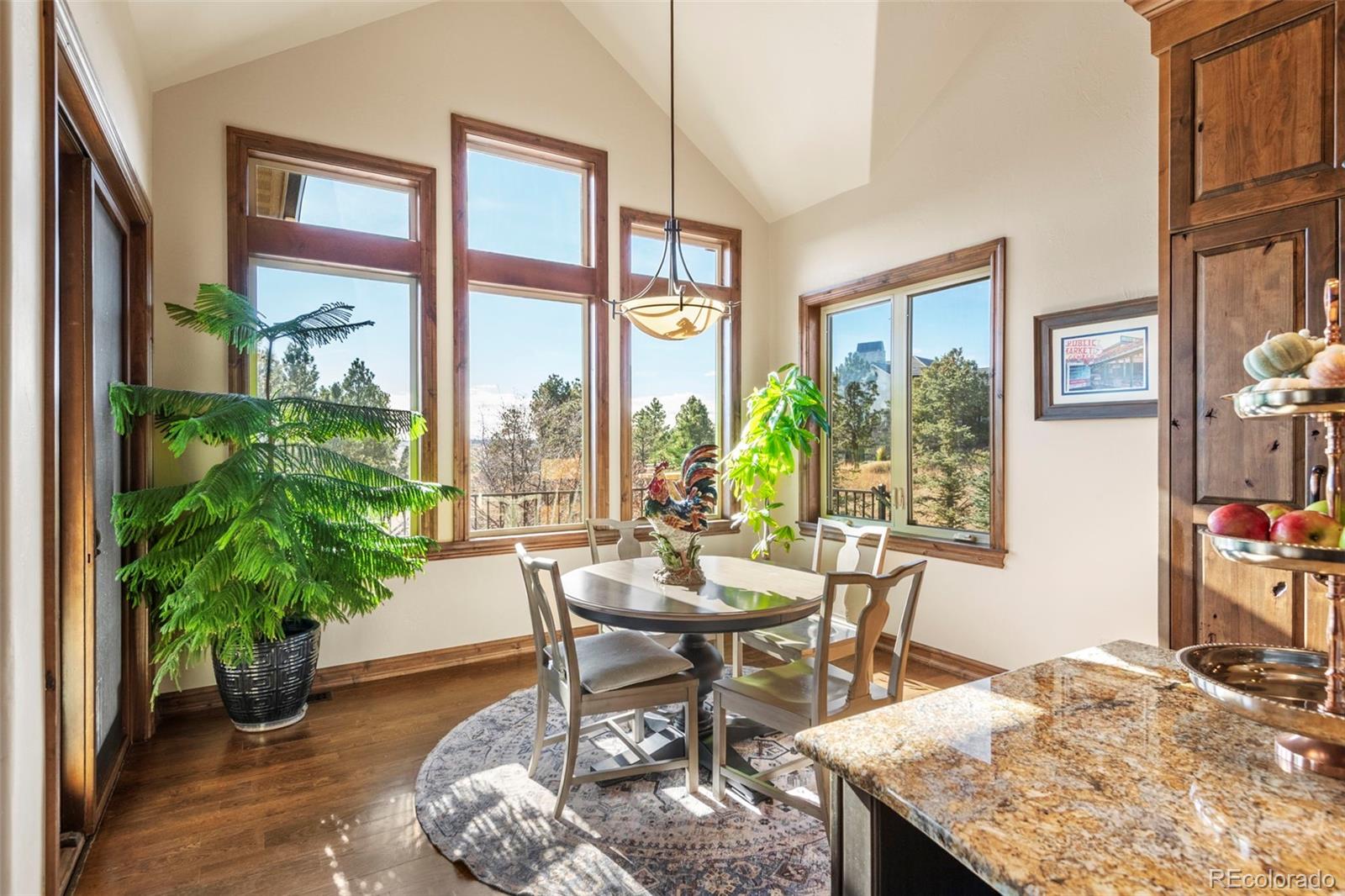 MLS Image #21 for 9346  hidden pines court,parker, Colorado