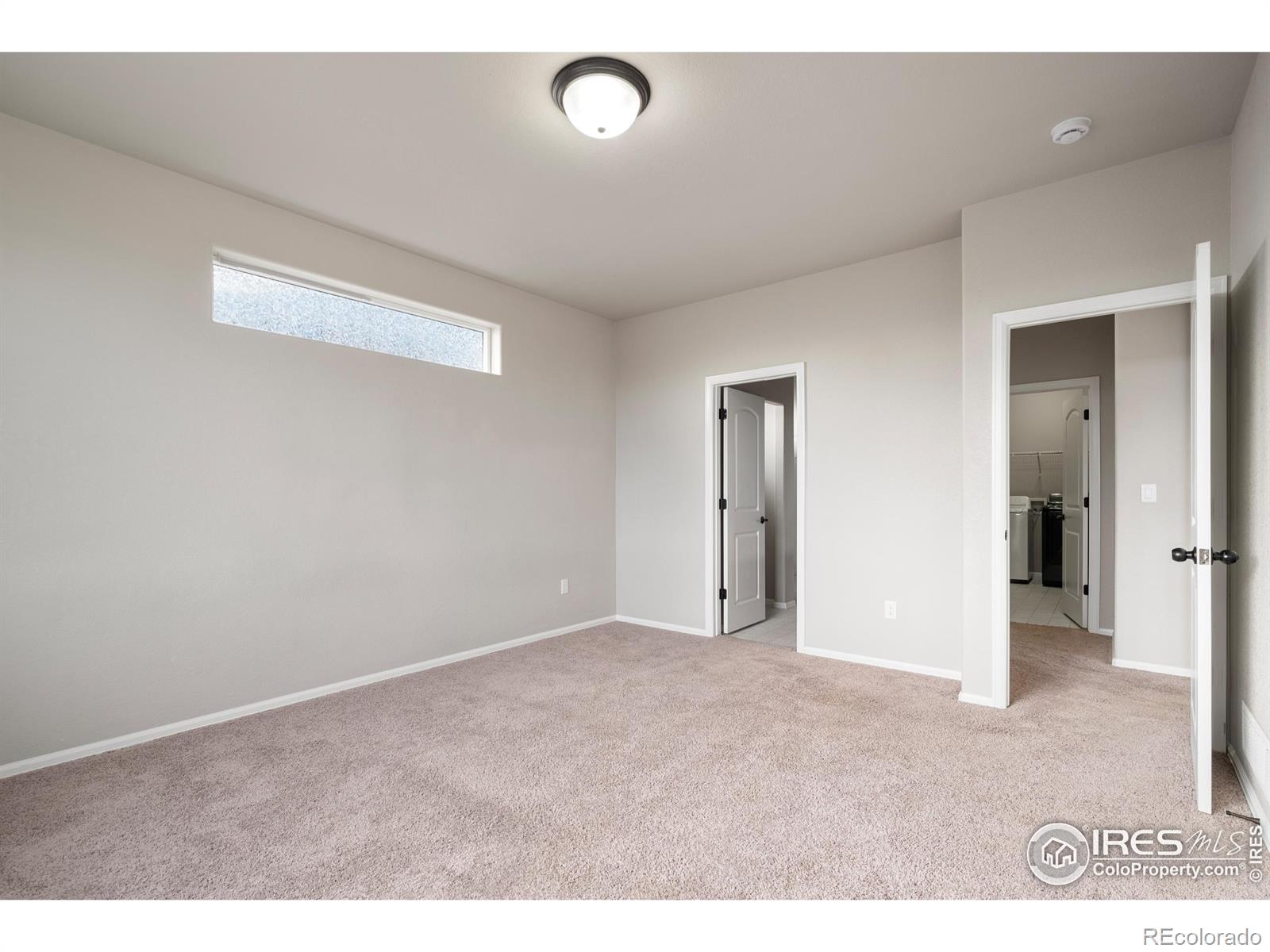 MLS Image #19 for 1319  chamois drive,severance, Colorado