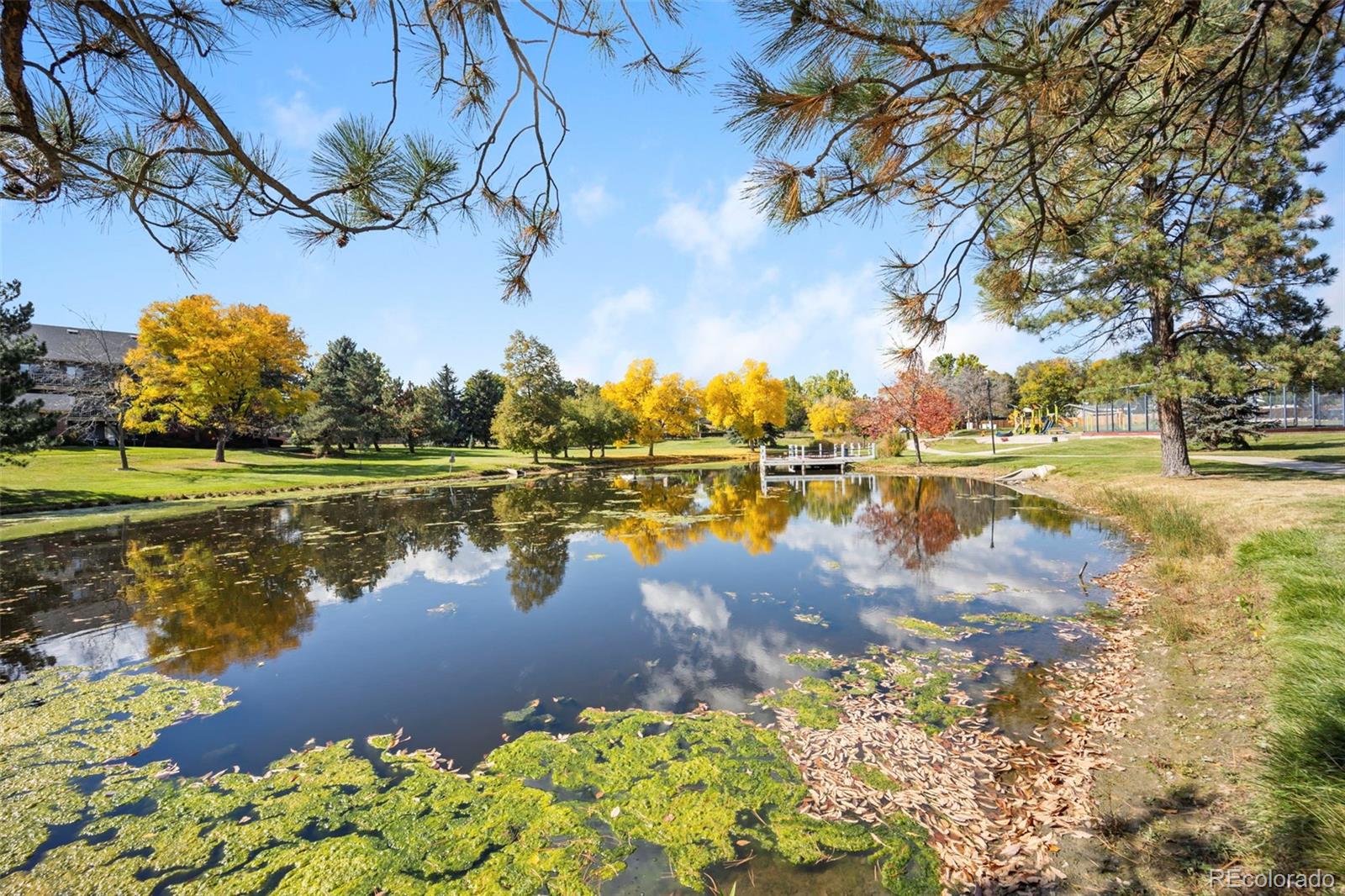 MLS Image #37 for 12670 w 66th place,arvada, Colorado