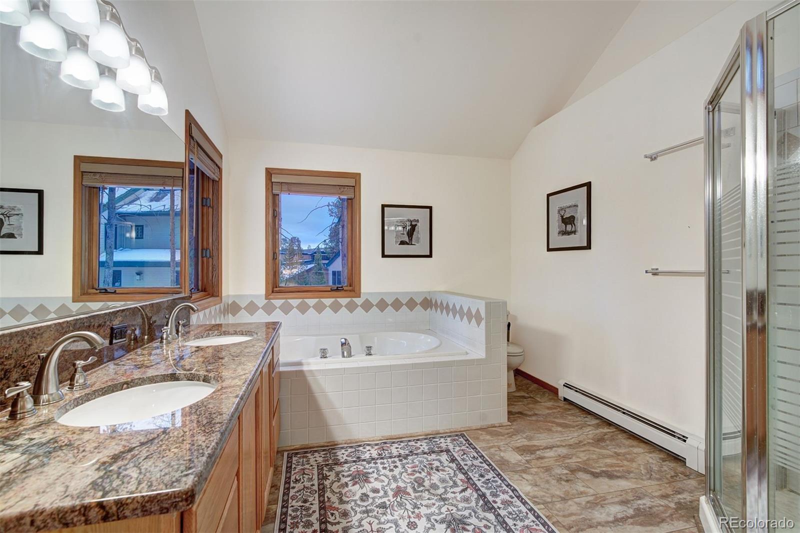 MLS Image #20 for 3824  ski hill road,breckenridge, Colorado