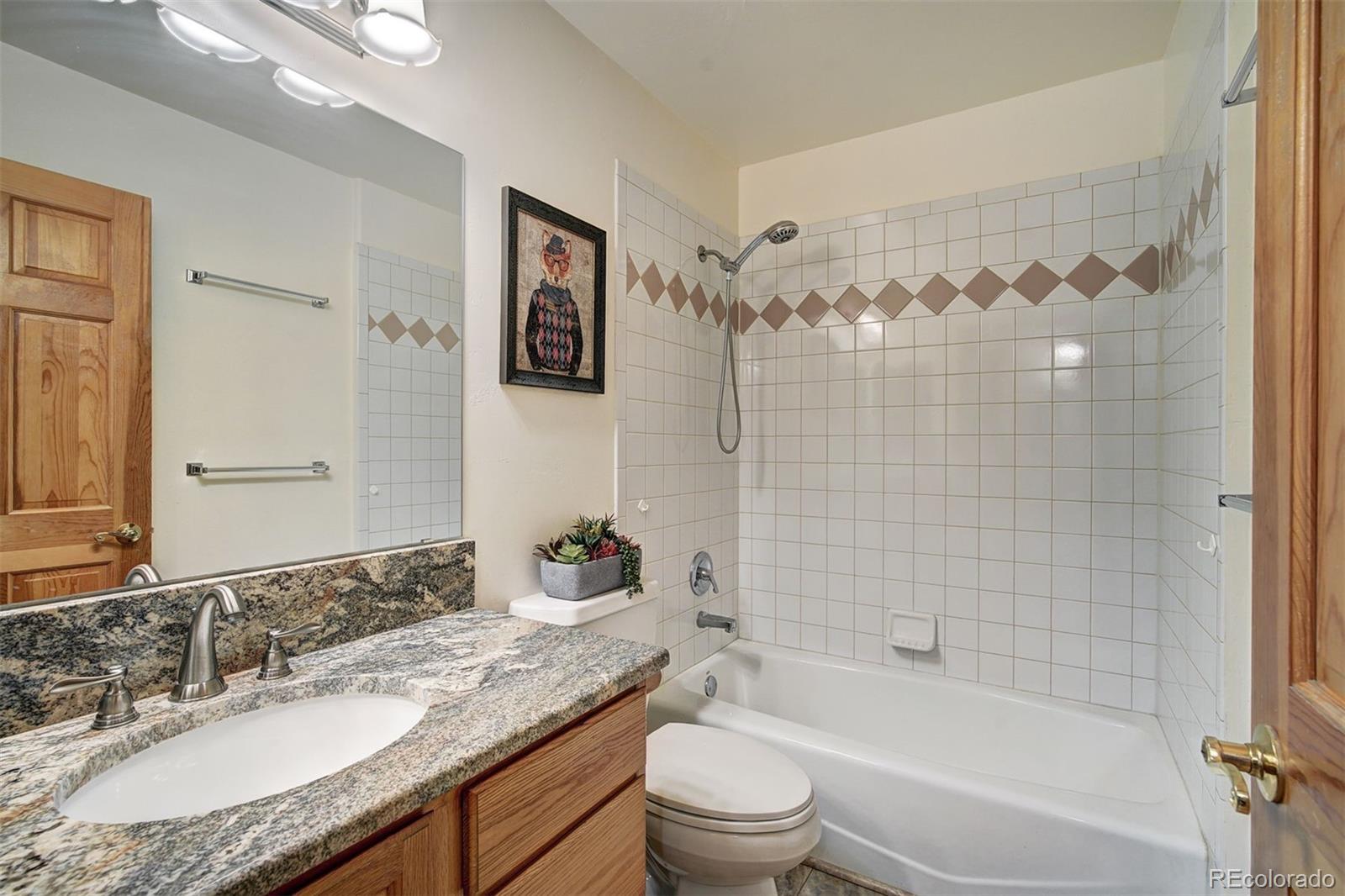 MLS Image #23 for 3824  ski hill road,breckenridge, Colorado