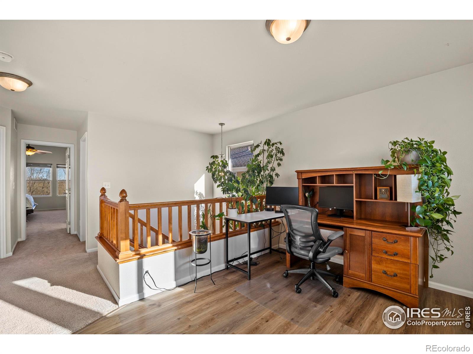 MLS Image #23 for 2144  brightwater drive,fort collins, Colorado