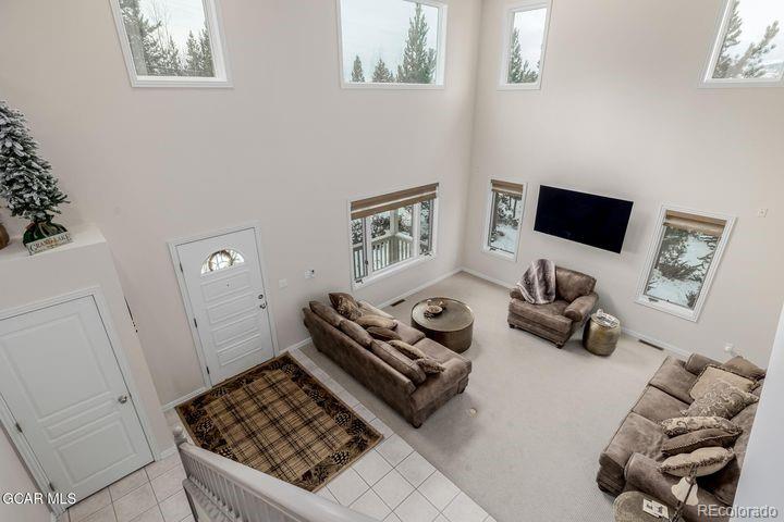 MLS Image #11 for 37  gcr 4482 ,grand lake, Colorado
