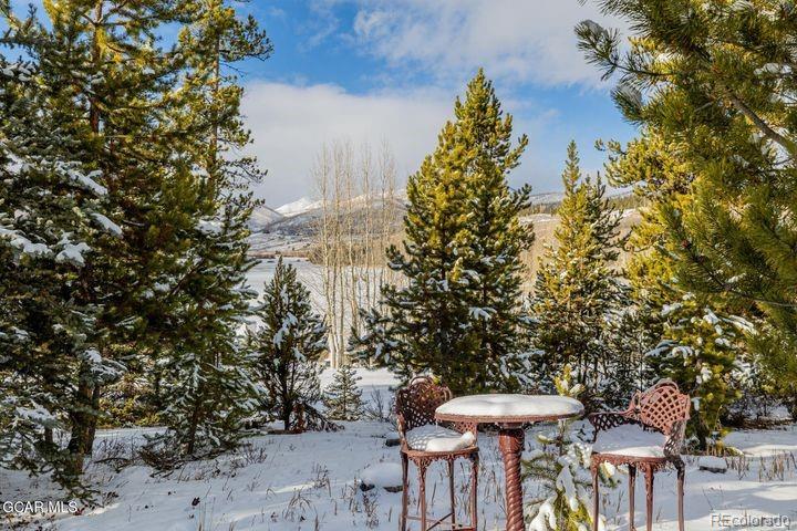 MLS Image #42 for 37  gcr 4482 ,grand lake, Colorado
