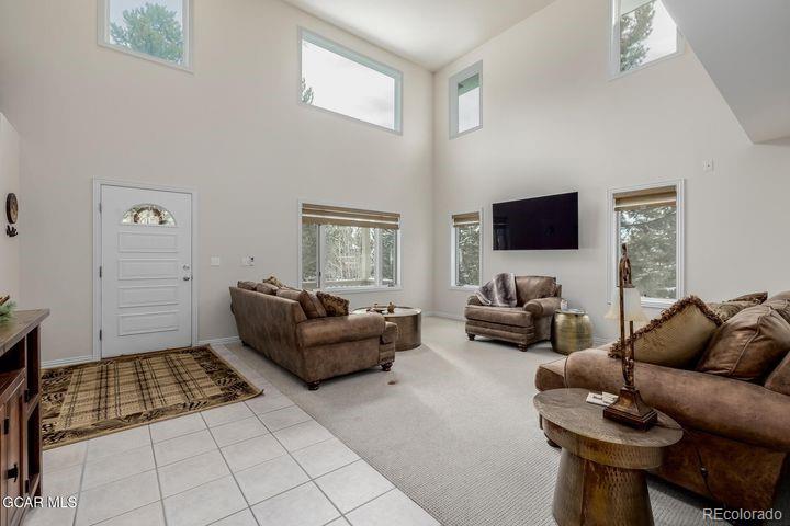 MLS Image #5 for 37  gcr 4482 ,grand lake, Colorado