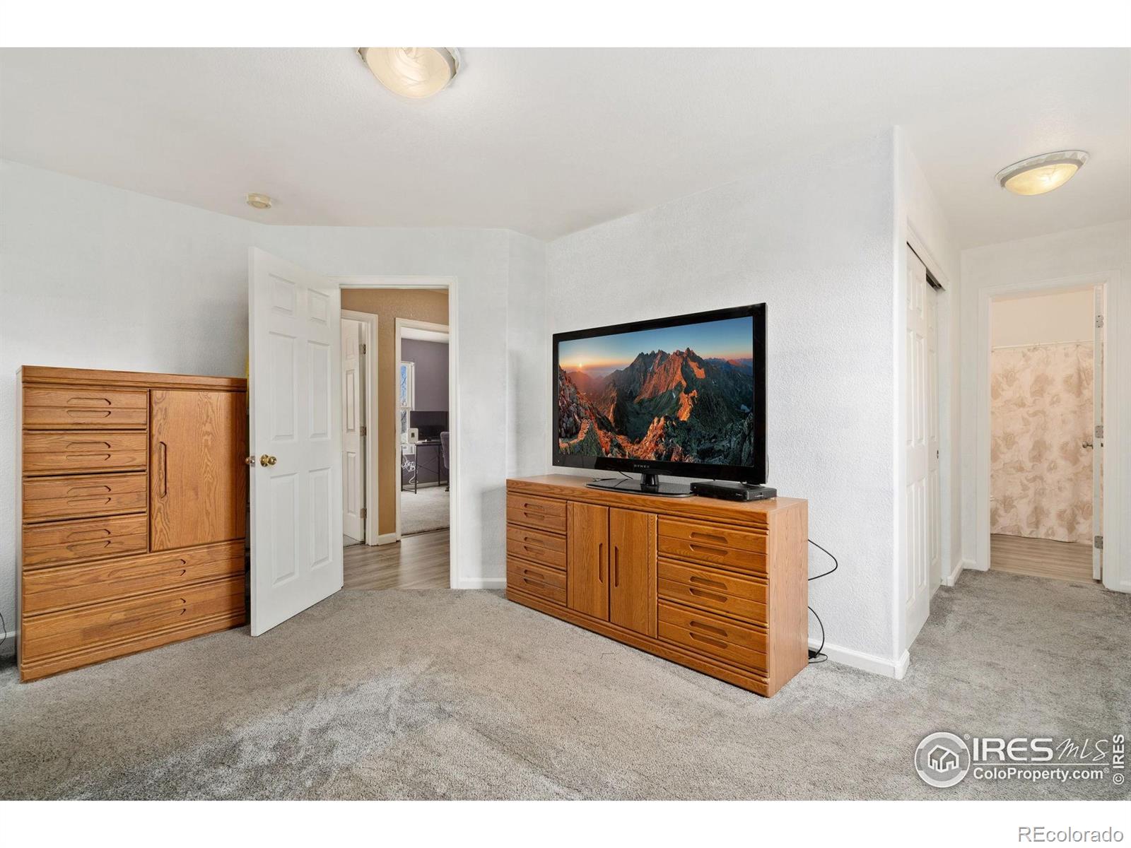 MLS Image #10 for 781 s stage coach drive,milliken, Colorado