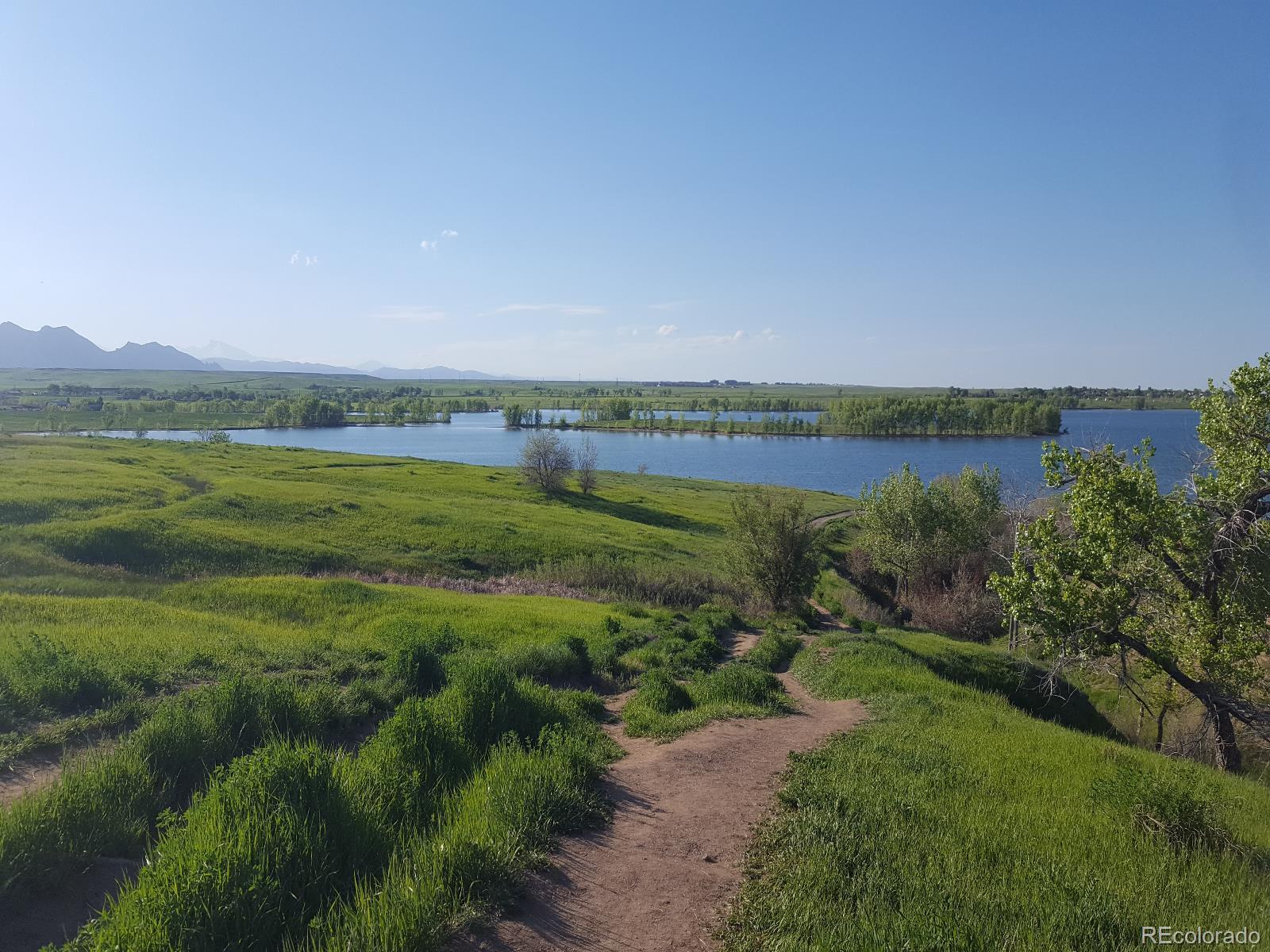 MLS Image #31 for 8436  pierson court,arvada, Colorado