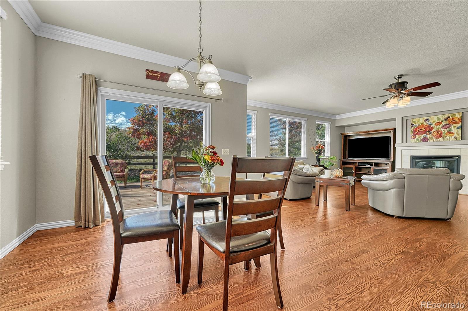 MLS Image #13 for 16204 e swift fox place,parker, Colorado
