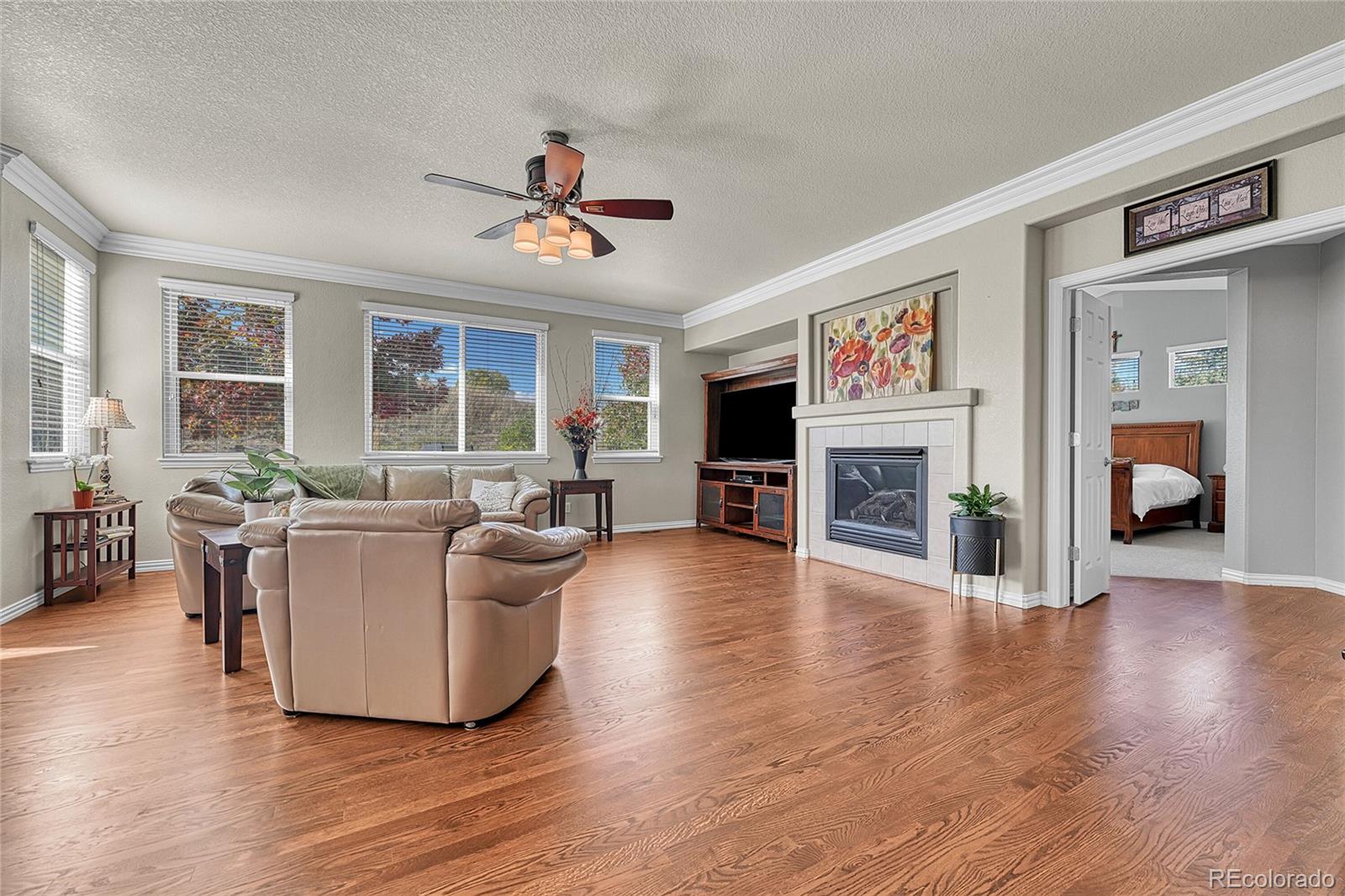 MLS Image #16 for 16204 e swift fox place,parker, Colorado