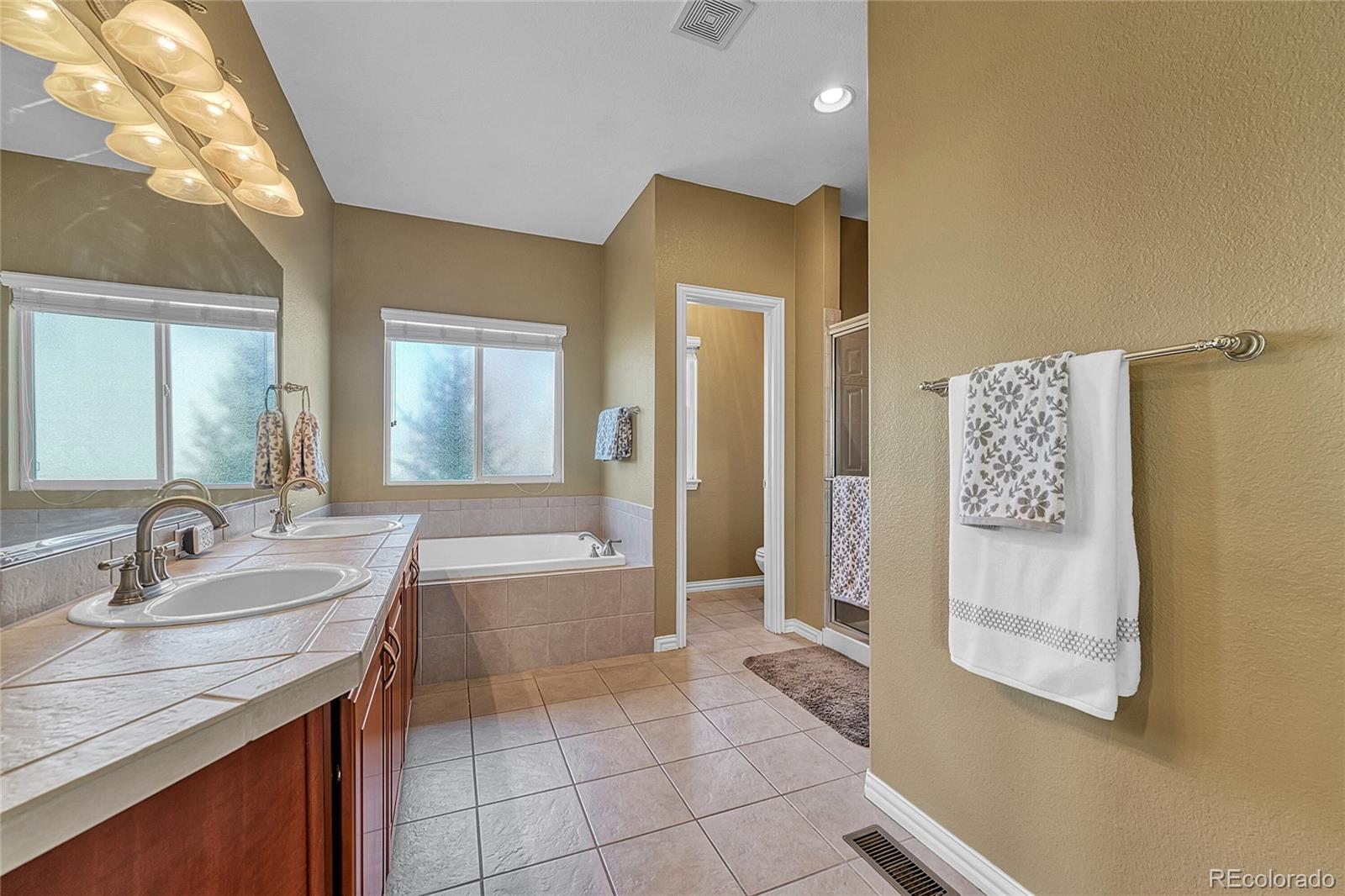 MLS Image #19 for 16204 e swift fox place,parker, Colorado
