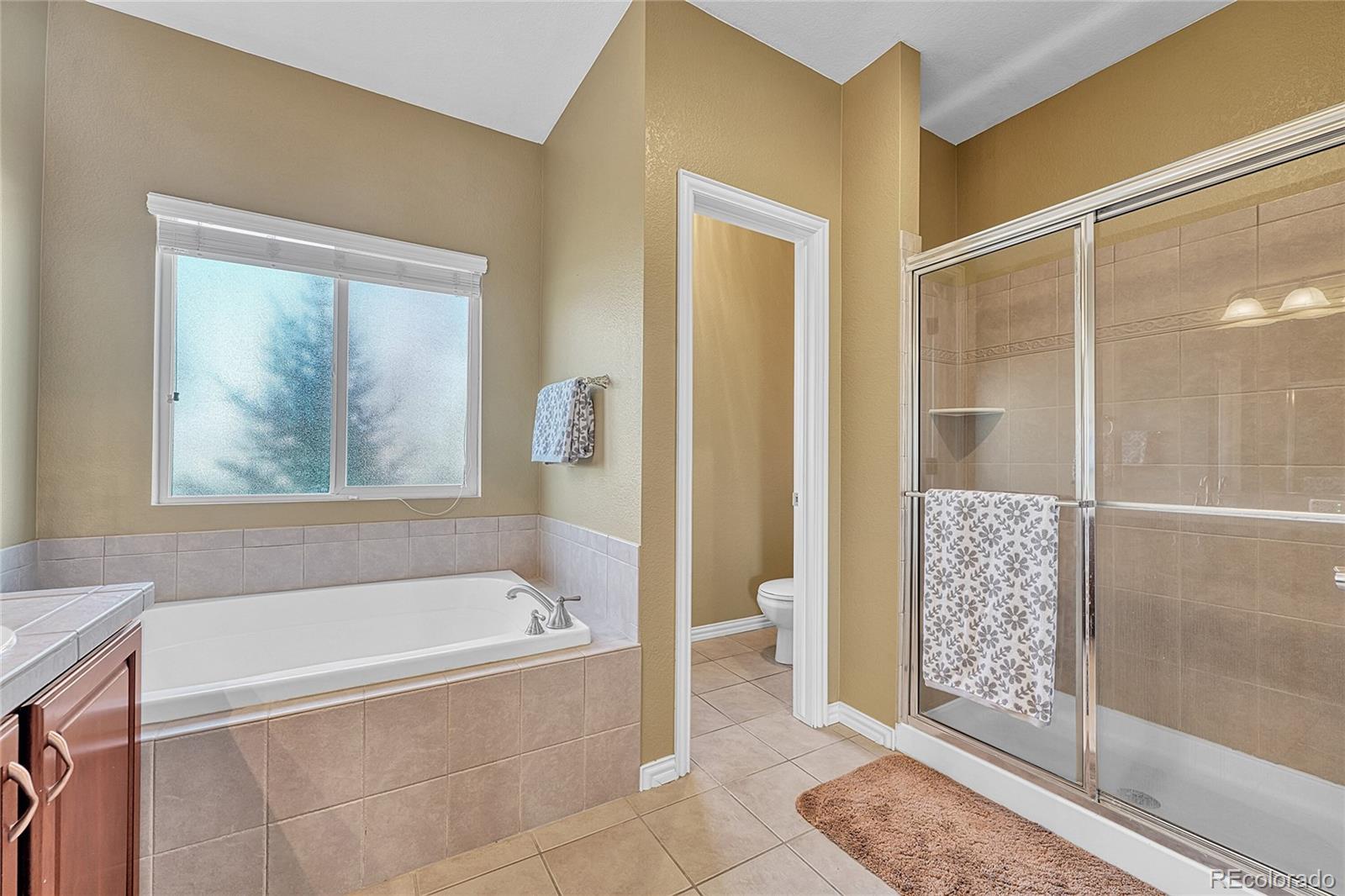 MLS Image #20 for 16204 e swift fox place,parker, Colorado